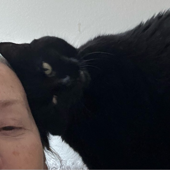 Meet your Poshers, Anne and Baby - Picture 1 of 1